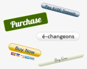 Paypal Pay Now Button Png Download - Paypal