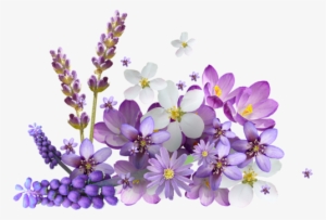 Vc Mylevander El44 - Buon Giovedi Raggio Di Sole