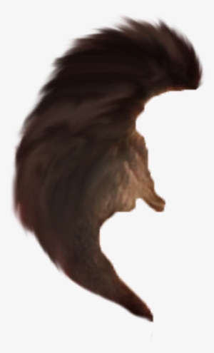 Hair Png - Eagle