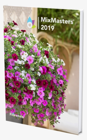 Catalogue View Catalogue - Petunia