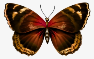 Butterfly Transparent Png Image - Blue Butterfly Transparent