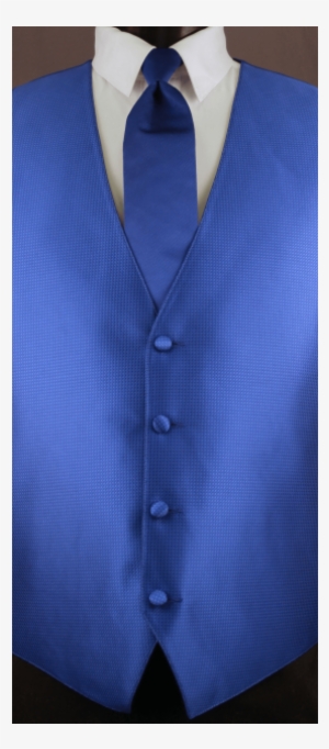 48rblu 3-446x629