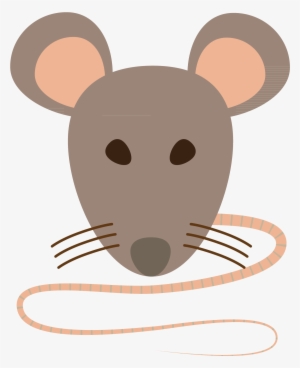 Dry Cracker / Mousy - Taste