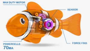 2/5 Real-life Pets - Blowfish