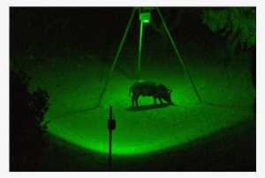 More Views - Blind Side R Feeder Light