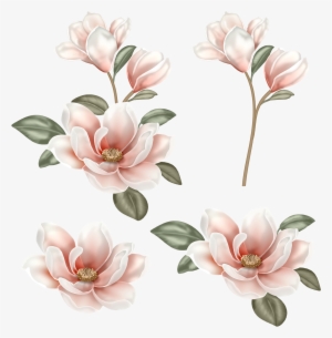 Image Freeuse Stock Flower Clip Art Chinese Transprent - Flower Painting Png