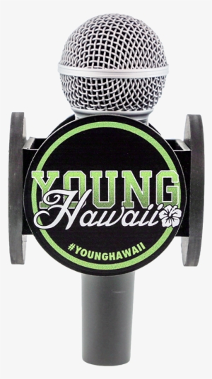 2 50 Circle Mic Flag On Air Flags - Flag