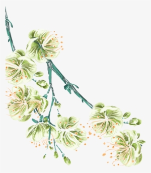 手绘茉莉花 - Flowers And Butterflies Png Download