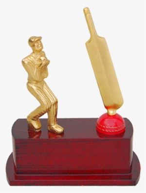 Mt 3488 Cricket Trophy - Cricket Transparent Trophies