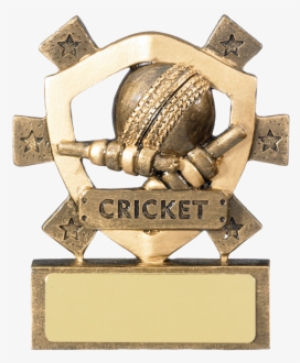 Cricket Mini Shield Trophy - Table Tennis Awards