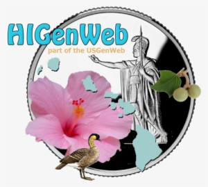 Hawaii State Quarter - Fridge Magnet