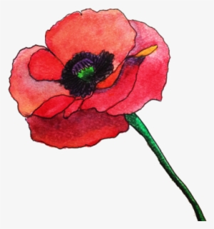 Credere E Fare Quello Che È Il Nostro Sentire - Watercolor Poppy Flower Png