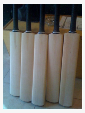 Plain Pakistani Cricket Bat - Column
