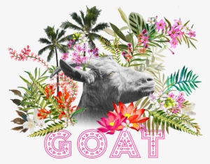 Goat Festival @ Goa - Goa