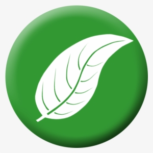 Organic Farming - Organic Leaf Png