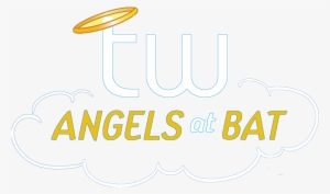 Angels At Bat Charity - Charitable Organization