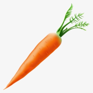 Shutterstock 100447426 [преобразованный] - Carota Png