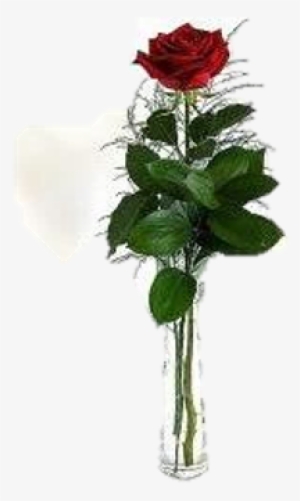 Single Rose In Vase - Transparent Rose In Vase Png