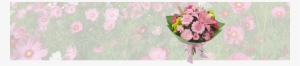 Send Birthday Flowers - Zinnia