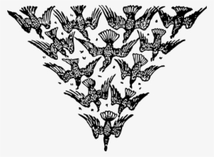 Birds, Flying, Triangle, Formation - Wine Black Bottle Design