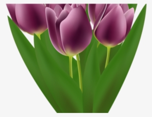 Tulip Clipart Flower Bookey - Tulip