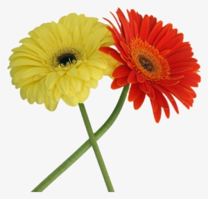 Namaste Welcome Png Welcome Hands Png Images - Portable Network Graphics