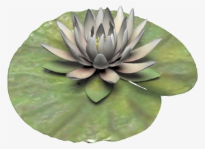 Hand Painted White Lotus Png Transparent - Sacred Lotus