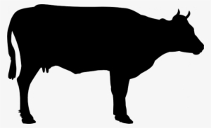 Cattle Vector Silhouette Png Library Stock - Cow Vector
