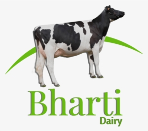 Beautiful Minds Wellness Centre (massage)