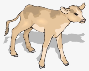 Curious Calf Clip Art - Calf Clip Art