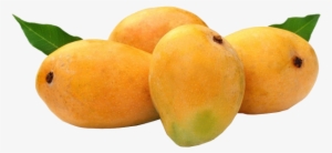 Mango - Mango Alphonso