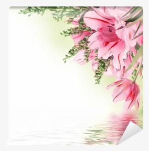 Red Tulips With Green Grass - Tulip