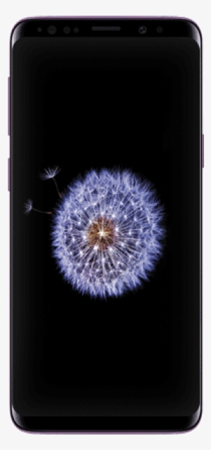 Samsung Galaxy S9 - Samsung S9 Front