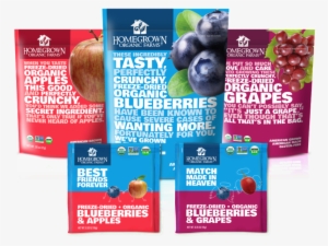 Freeze Dried Fruit Healthy - Blueberries | Freeze Dried | Organic | 1.2 Oz | Homegrown