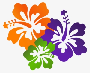 7 Clipart Colourful - Hawaiian Flowers Clip Art