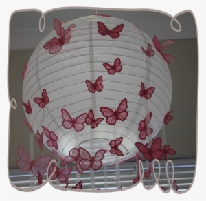 More Images - Butterfly