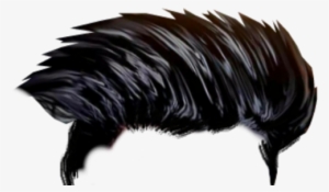 Click Here - Hair Style Png Photoshop