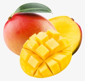 Manga Rica And Packaging - Coconut Mango Candle Fragrance Oil