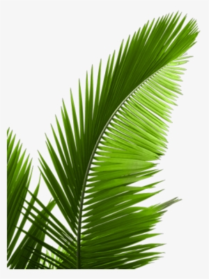 Check Out The Futures That Work 2018 Awards Ceremony - Sabal Minor