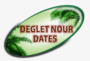 S - E - F - A Dattes/best Of Dates - Dates
