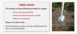 During Drought Conditions, Adding Soil Moisture Is - Grass