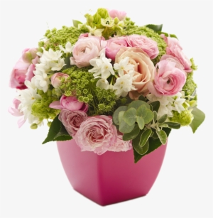 Paula Pryke - Morning