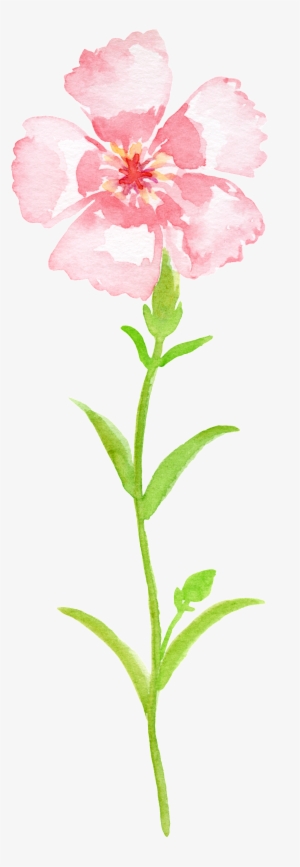 This Graphics Is Pink Gradient Bouquet Transparent - Portable Network Graphics