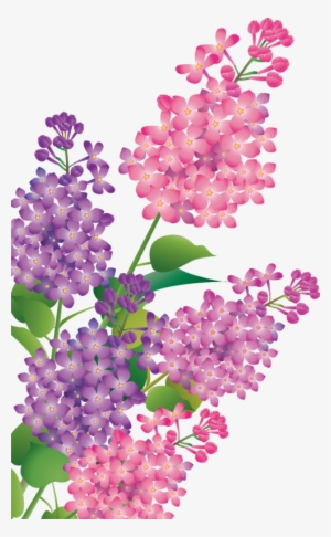 Explore These Ideas And More - Lilac