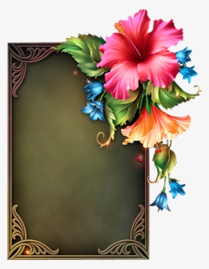 Image Du Blog Zezete Centerblog Net Borders - Transparent Png Moonbeam Frame