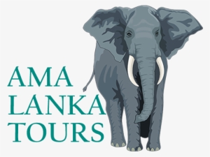 Ramayana Tour - Elephant And The Peg