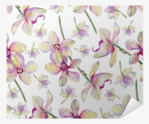 Orchid Flowers Watercolor Hand Drawn Botanical Illustration - Fondo De Salon De Belleza