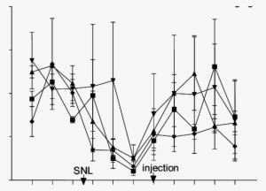 Svg Royalty Free Library The Effect Of Celecoxib On - Mechanical Allodynia