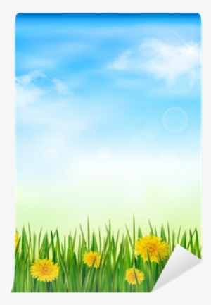 Nature Background With Green Grass And Flowers And - Display Device