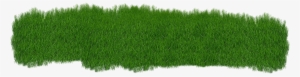 Grass Green Plant Green Grass Nature Summe - Herbe Verte Png